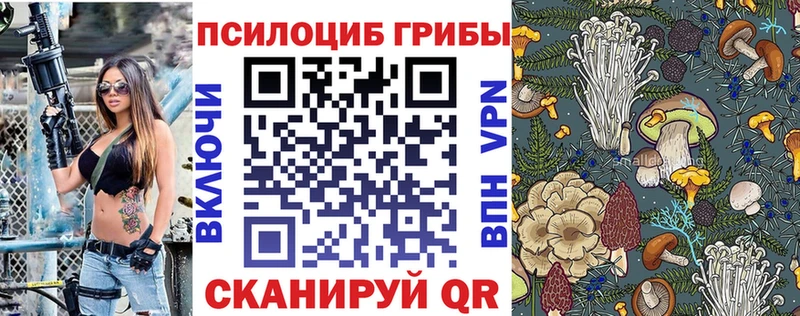блэк спрут ONION  наркошоп  Пикалёво  Галлюциногенные грибы Psilocybe 
